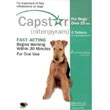 capstar - flea & tick